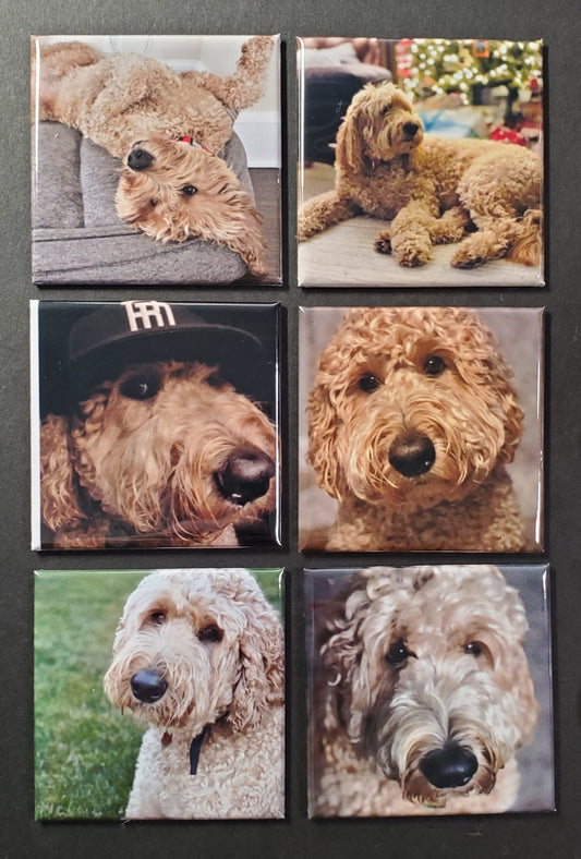 6 Photo Magnets