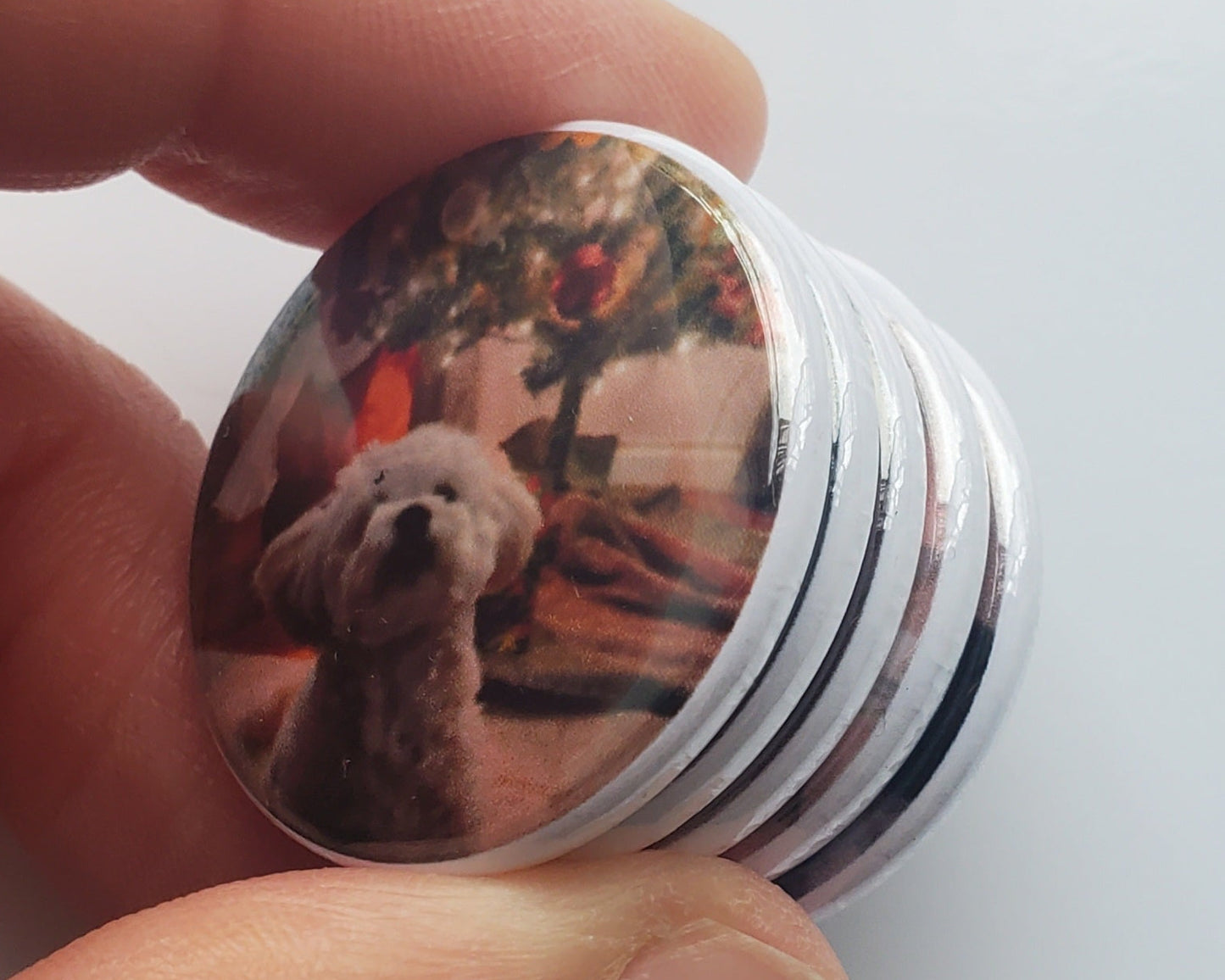 Set of 8 Mini Magnets