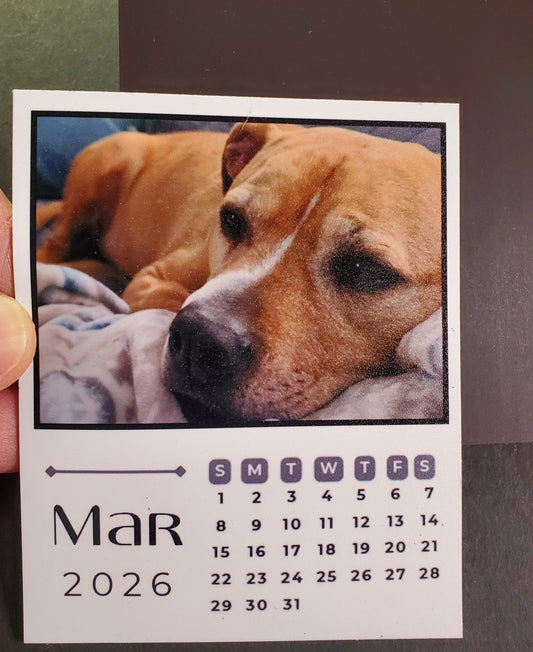 Magnet Calendar Set - 12